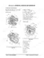 Yanmar 4TNV98, 4TNE98 engine component identification diagrams and numbered parts lists for service reference.