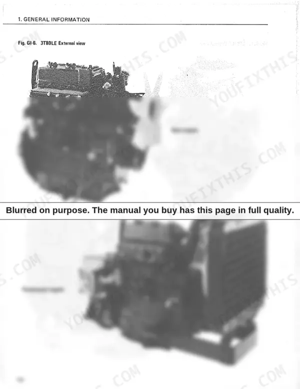 Yanmar T-(H)LE series: 3T80LE bare and power pack engine views.
