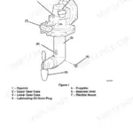 Yanmar SD20 and SD50 component identification diagram showing gear cases, propeller, and seawater inlet.