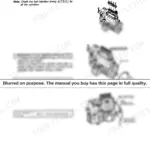 Yanmar ViO50-1 engine fuel injection timing adjustment procedure and pump diagrams showing oval holes and scale marks.
