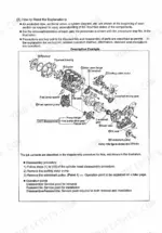 8289520f-b-exploded-view-10 Yanmar 3TNV, 4TNV series exploded view diagram of engine components including flywheel, fuel pump, and crankshaft gear.