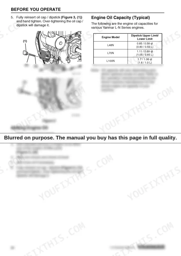 Yanmar L48N, L70N, L100N engine oil capacity table and diagram showing oil dipstick and filler port locations.