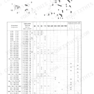 Case 60P-1000CK cylinder parts list and tightening torque table for Poclain hydraulic cylinders.