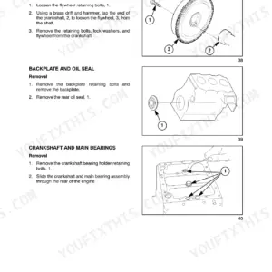 Case IH DX18E, DX22E, DX24E, DX25E engine removal procedures for flywheel, backplate, oil seal, crankshaft, and main bearings.