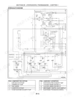 Case IH WD1903, WD2303 hydrostatic transmission hydraulic diagram showing pumps, accumulators, and control valves.
