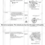 Yanmar 6LY(M)-UTE, 6LY(M)-STE assembly procedures for seawater pump, idle gear, and lube oil pressure regulating valve.