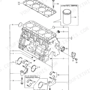 Yanmar 4TN78TL, 4TN78TL(YB401W), 4TNA78TL-DBWVM, 4TNA78TL-RBW, 4TN78TLL-DBWVM exploded view of cylinder block and bearings.