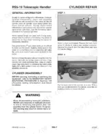 Gehl RS5-19 hydraulic cylinder repair procedures, including load check valve removal and cylinder disassembly steps.