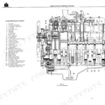 International D-155-DT-402 engine longitudinal section diagram showing numbered components like turbocharger and oil pump.