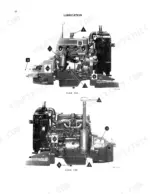 International Harvester T-4, T-5 Crawler Tractor engine lubrication points diagram showing numbered components.