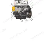 JCB 444 Engine, 448 Engine, JCB DIESELMAX ENGINE (MECHANICAL) component identification diagram with numbered parts.