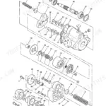 JCB 802.7, 803, 804 exploded view diagram of hydraulic pump components, including gear pump, shaft, bearings, and seals.