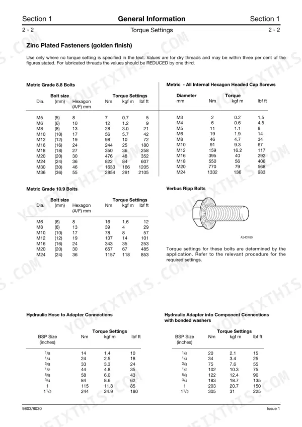 JCB Fastrac 3170, 3190, 3200, 3220, 3230 torque settings table for metric bolts, cap screws, and hydraulic hose connections.