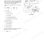 JCB JCB 444 Series, Rear Engine Loadalls, 526, 526S, 528-70, 528S: Engine identification plate and serial number diagram.