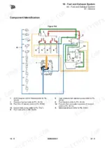 JCB T4F 444, T4i 444, T4i 448 Engine fuel system diagram showing ECM, fuel pump, common rail, injectors, and filter components.