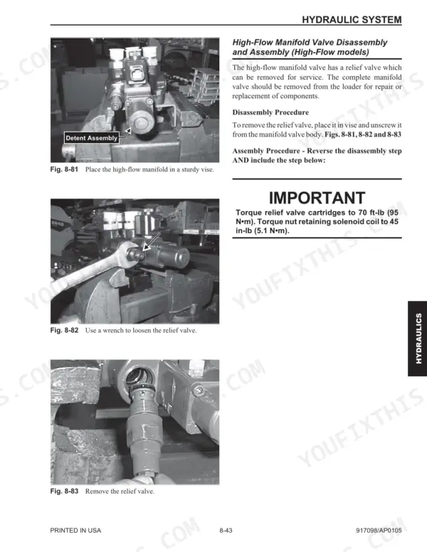 Mustang 2066, 2076, 2086 high-flow manifold valve disassembly, relief valve removal procedure, and torque specifications.