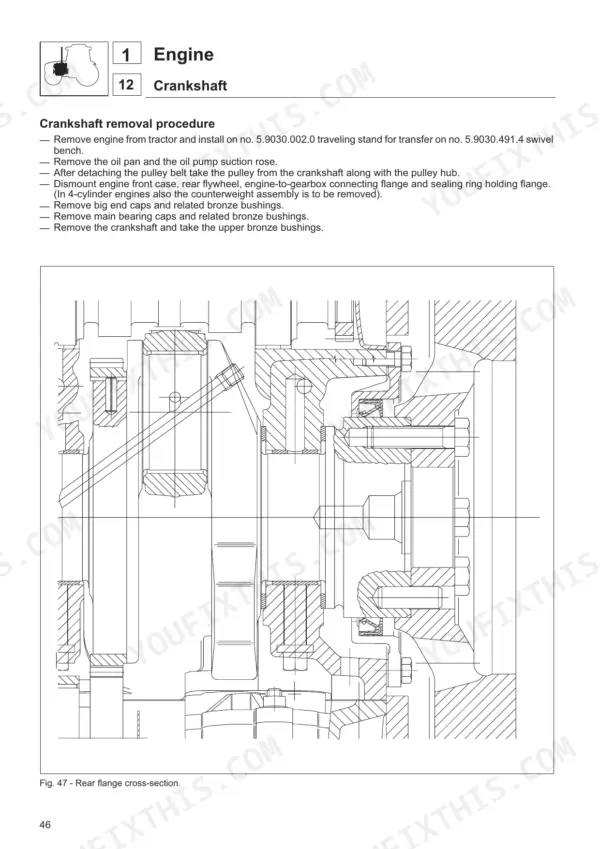 Same DORADO 55-85 engine crankshaft removal procedure and rear flange cross-section diagram.