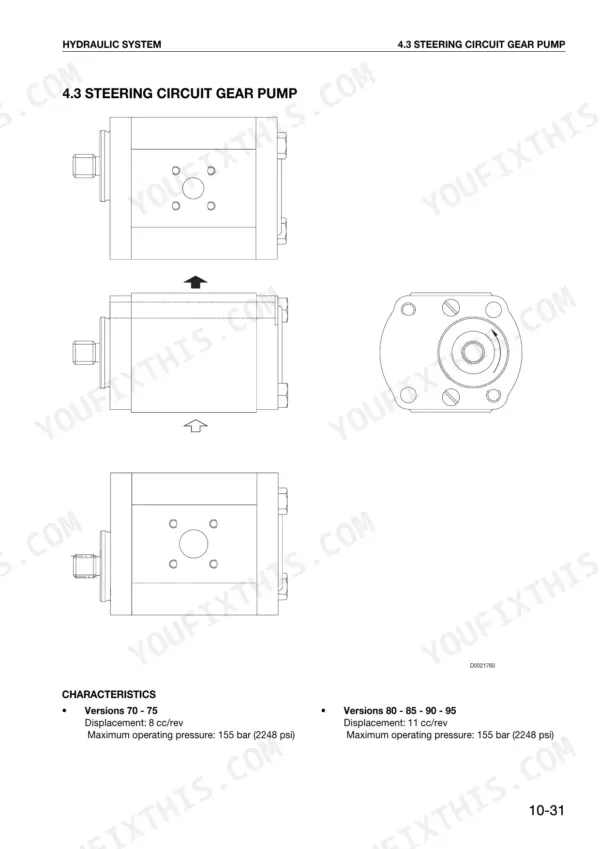 Same EXPLORER II Special 70-95 HP steering circuit gear pump diagrams and technical specifications table.