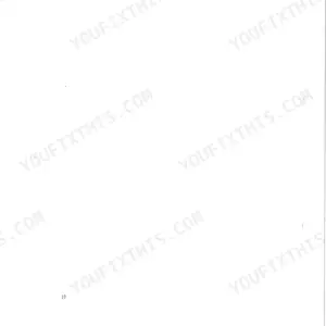 Vibromax W 102, Vibrating Tandem Roller, blank page 10 from the operator manual.