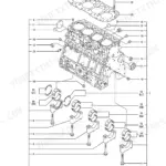 Yanmar 4TNV106T-XTBL, P-TL150EBB exploded view diagram of the cylinder block, main bearings, and head gasket components.