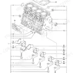 Yanmar 4TNV88-QTBZ, TB53FR exploded view diagram of engine cylinder block assembly.