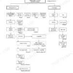 Yanmar C12R, C12R (3WD) troubleshooting flowchart for battery charging failure and discharge issues.