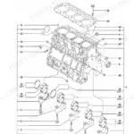 Yanmar TL150, 4TNE106T-TBL exploded view diagram of the cylinder block, main bearings, and head gasket components.