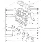 Yanmar TL150, 4TNE106T-TBL, 4TNV106T-XTBL, 4TNV106T-XTBL1 exploded view diagram of the engine cylinder block and bearings.