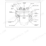 Yanmar ViO15-2, VIOB- operator manual diagram showing layout of cab controls, joysticks, pedals, and switches.