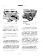 case-544-to-h80-hydrostatic-drive-tractors-service-manual-gss-1397-controls-29.webp Case 544, 656, H70, H80, 544 Series, 656 Series servo control cam and centering mechanism diagrams for foot controls.