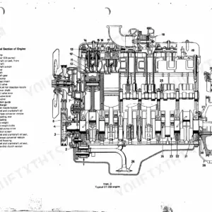 Case IH 856 XL, D-155, D-179, D-206, D-239, D-246, D-268, D-310, D-358, DT-239, DT-358, DT402 longitudinal engine section diagram.