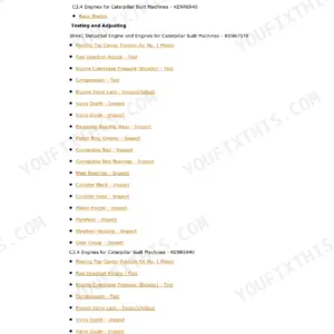 Caterpillar 236B, 246B, 252B, 262B Repair Manual - Page 1