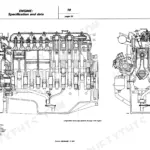 Fiat 1180, 1280, 1380, 1580, 1880 engine longitudinal and cross-section diagrams with torque data table.