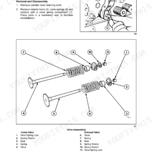 New Holland TB100, TB110, TB120, TB120 Mudder engine valve and spring assembly removal and exploded view diagram.