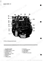 Perkins 4.165, 4.165 Diesel Engine fuel pump side view diagram with numbered component list 1-17.