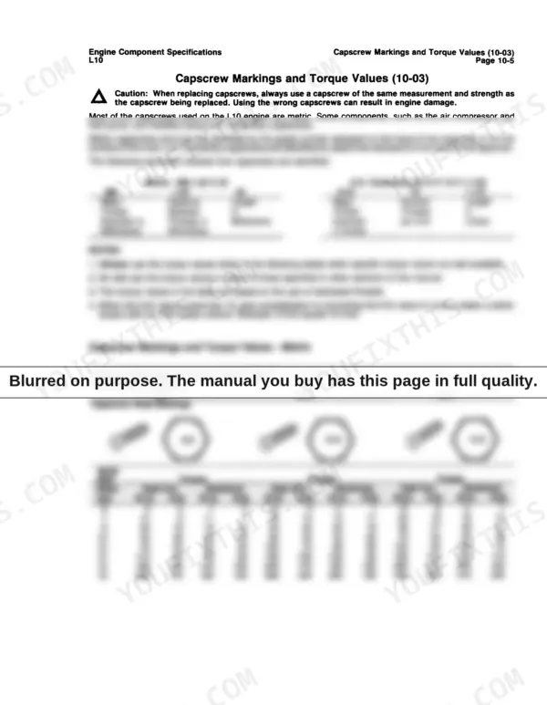 Cummins L10 engine manual page showing metric capscrew head markings and torque value tables for cast iron and aluminum components.