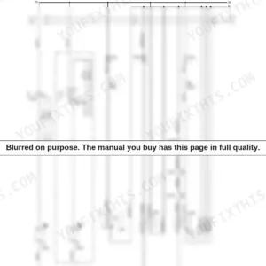 Wacker Neuson WL60, WL70 electrical diagram showing power supply circuit with fuses, relays, and switches.