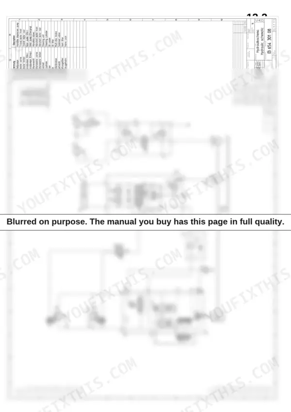 Bomag BW 125 ADH, BW 135 AD, BW 138 AD, BW 138 AC hydraulic schematic diagram showing pumps, motors, and pressure settings.