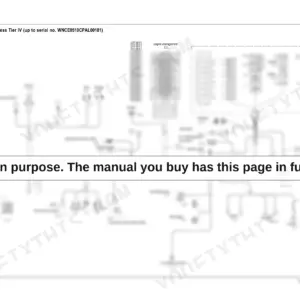 Wacker Neuson EZ53 engine wiring harness Tier IV diagram showing ECU, fuses, relays, and component connections.