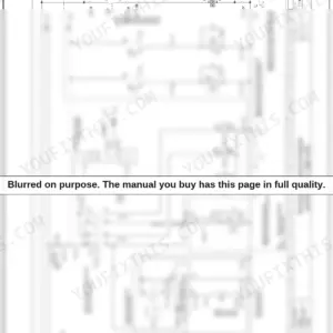 Bomag BW 190 AD-4, BW 202 AD-4, BW 203 AD-4 wiring diagram for sprinkler system and edge cutter solenoid valves.