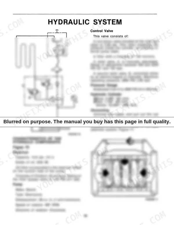 New Holland D 1000 hydraulic system diagram, component specifications, and bale triangulation system illustration.