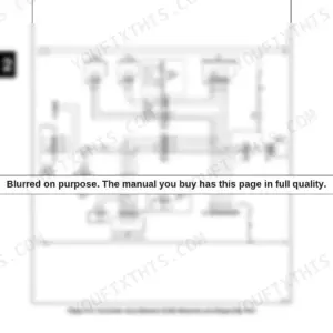Wacker Neuson SW16-SW21, ST28-ST31 Service Manual — Wiring Diagrams