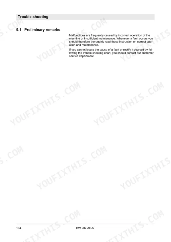Bomag BW 202 AD-5 troubleshooting section, page 194, featuring preliminary remarks on machine operation and maintenance.
