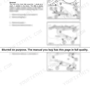 New Holland BB900 main drive chain idler removal procedure with diagrams of spring, guide, and adjusting rod components.