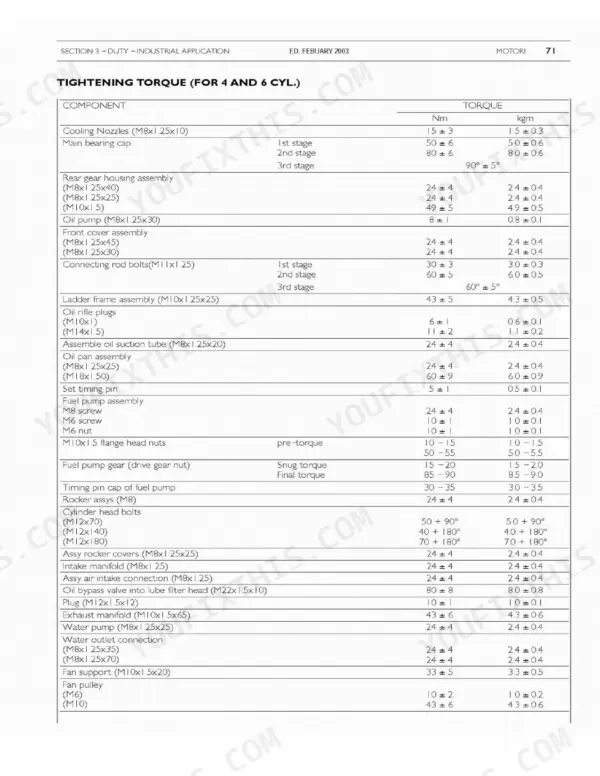 Case 445/M2, 445T/M2, 668T/M2 engine tightening torque specifications table for 4 and 6 cylinder industrial applications.