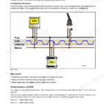 Bomag BW 174 AP and 174 ACP CANbus system diagram showing ESX and EMR control unit wiring and signal line connections.
