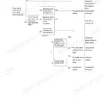 Hyundai R140LC-9, R140LCD-9, R140LCM-9 troubleshooting flowchart for engine starts but machine does not operate at all.