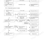 Hyundai Robex 22-7 hydraulic system troubleshooting flowchart for pump operation and weak power issues.