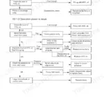 Hyundai Robex 35-7 hydraulic troubleshooting flowchart for pump operation, weak power, and system function failures.