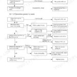 Hyundai Robex36N-7 troubleshooting flowchart for hydraulic system functions and weak operation power issues.